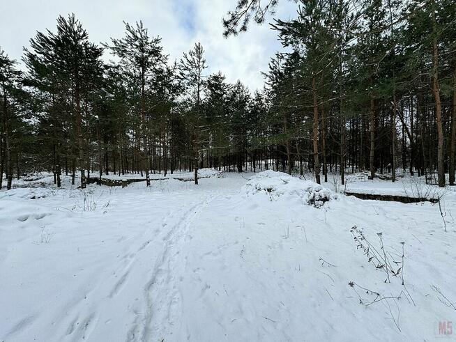 Działka rolno-budowlana Sochonie gm. Wasilków, Dębowa