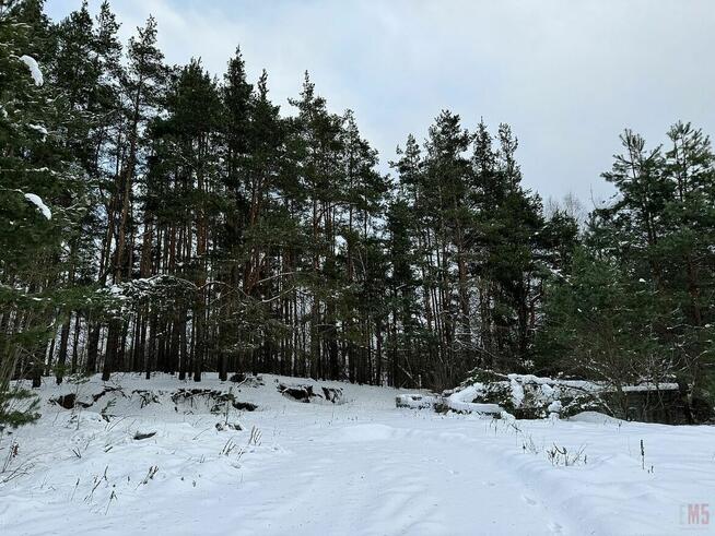 Działka rolno-budowlana Sochonie gm. Wasilków, Dębowa