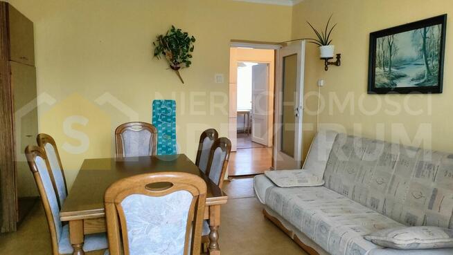 mieszkanie 2pokoje parter Dzierżoniów niski czynsz