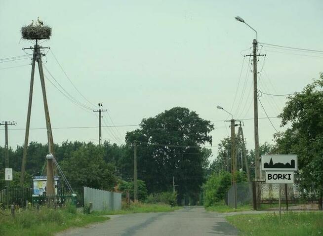 Zagroda Edukacyjna Osada Borki, Gospodarstwo Agroturystyczne