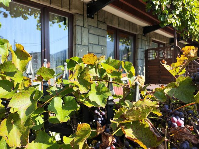 Pensjonat działający z pełnym wyposażeniem sprzedam