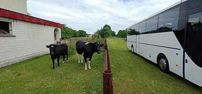 Zagroda Edukacyjna Osada Borki, Gospodarstwo Agroturystyczne