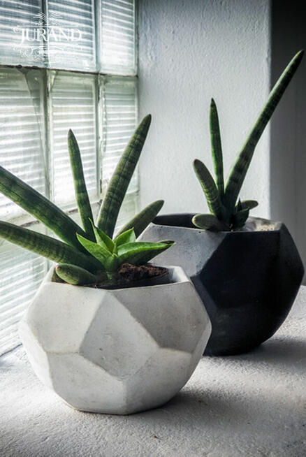 Donice, balustrady, figury ogrodowe, fontanny, oczka wodne