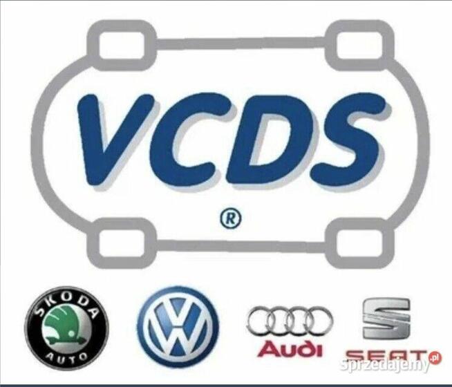 Kasowanie błędów, adaptacja, diagnostyka VCDS, wypalanie DPF