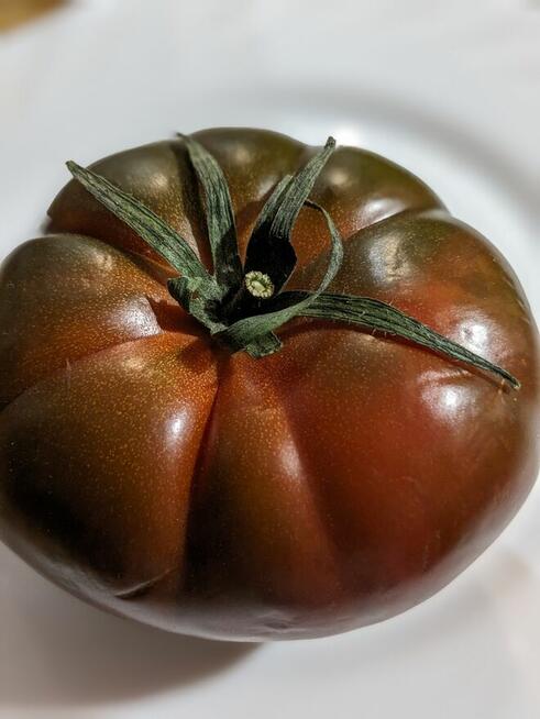 Cosmonault Volków Rosja Pomidor nasiona kolekcjonerskie