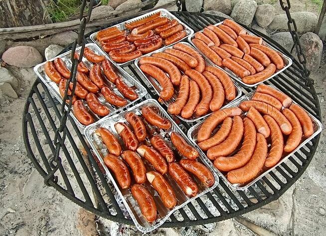 Wycieczki szkolne i przedszkolne warsztaty edukacyjne