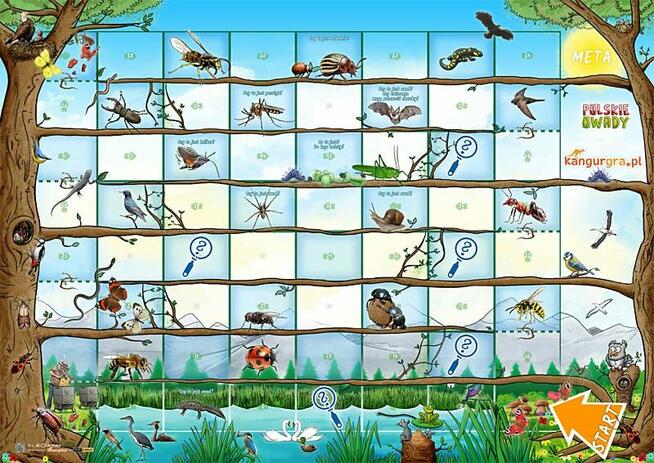 EKO GRA XXL dla DZIECI Polskie OWADY gatunki chronione