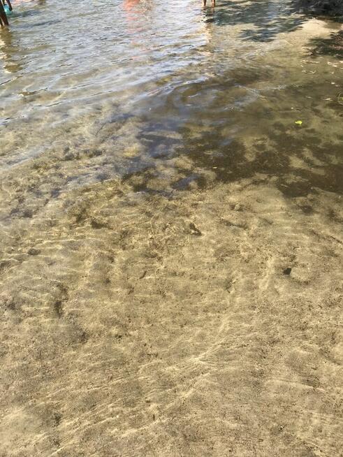 Mazury, Jerutki, domek letniskowy Masuriamiracle zaprasza