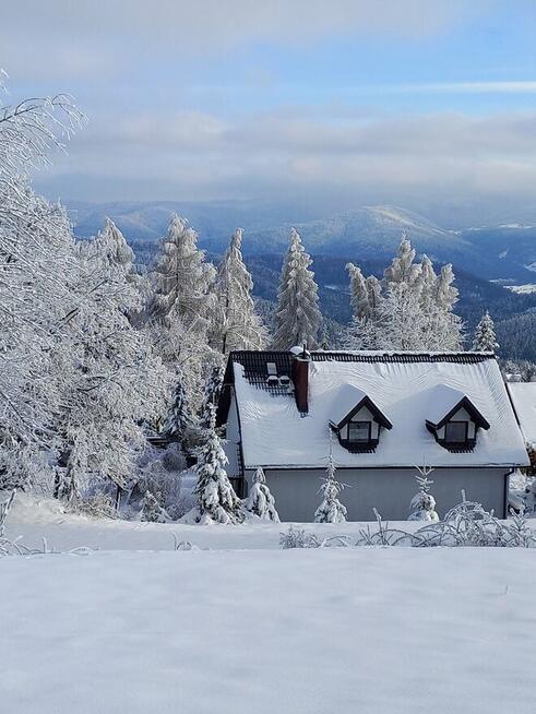 DOMEK APARTAMENT NA SZCZYCIE GÓRY