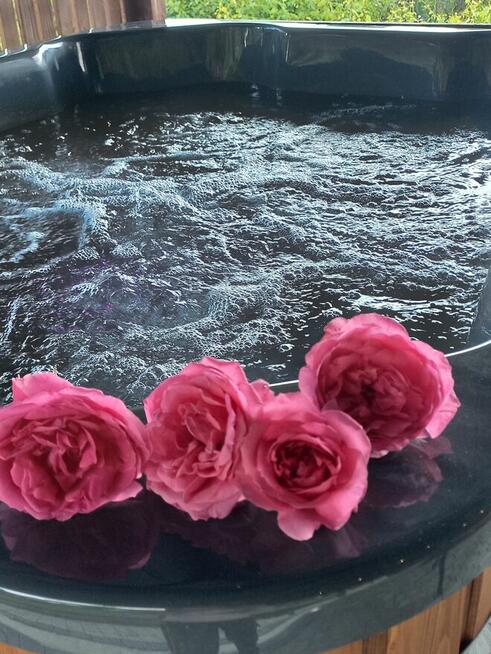 DOMEK APARTAMENT NA SZCZYCIE GÓRY