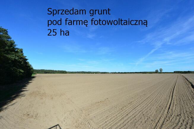 Sprzedam grunt pod farmę fotowoltaiczną. Powiat Żyrardowski