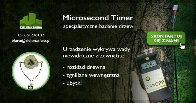 Badanie tomografem sonicznym - Arborsonic 3D