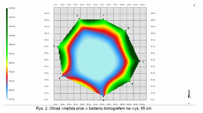 Badanie tomografem sonicznym - Arborsonic 3D