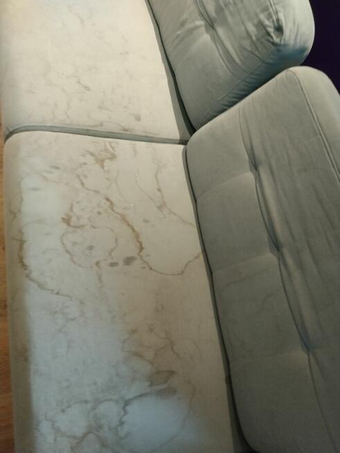 Pranie tapicerki meblowej oraz dywanów