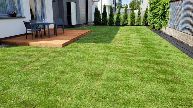 Uslugi ogrodnicze kompleksowo