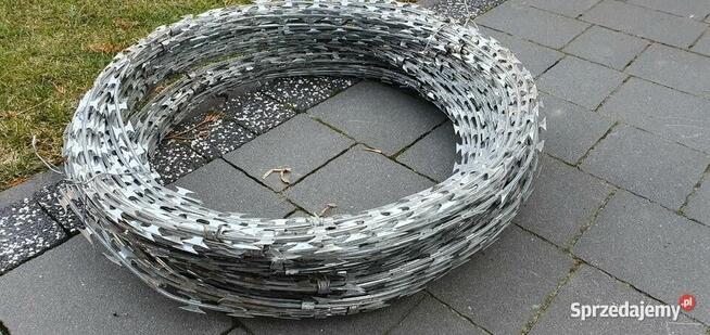 Concertina Drut żyletkowy