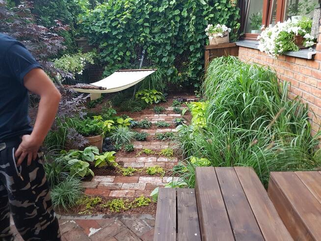 Uslugi ogrodnicze kompleksowo