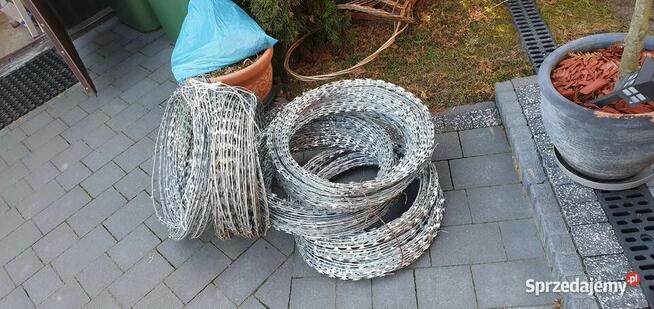 Concertina Drut żyletkowy