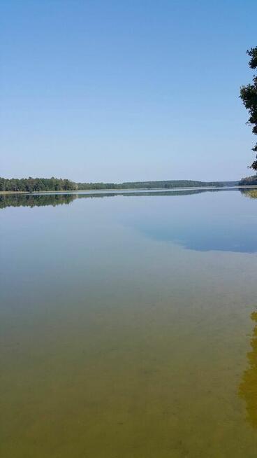 Mazury, Jerutki zapraszamy na urlop, domek