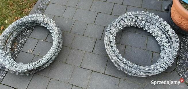 Concertina Drut żyletkowy
