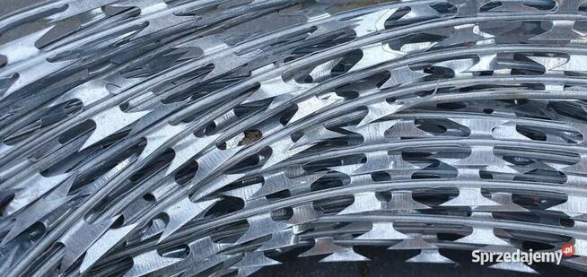 Concertina Drut żyletkowy