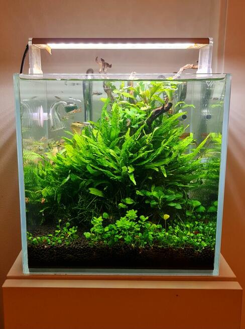 Akwarium serwis -projekt -wykonanie