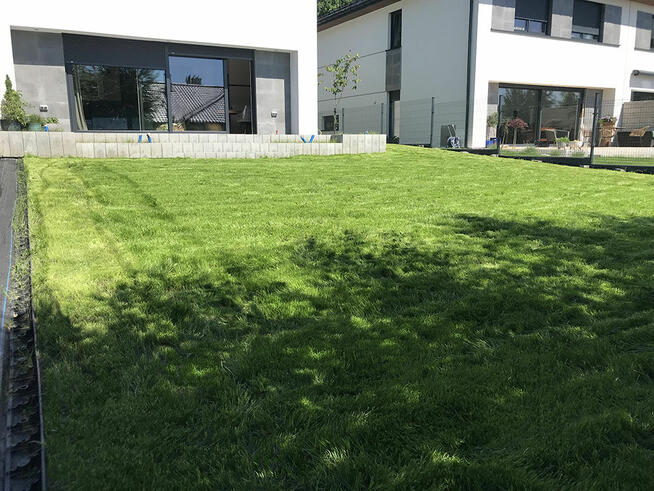 Zakładanie trawnika, koszenie, wertykulacja