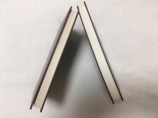 Pamiętniki Jakóba Gieysztora PRL KAW 1985 nr 373