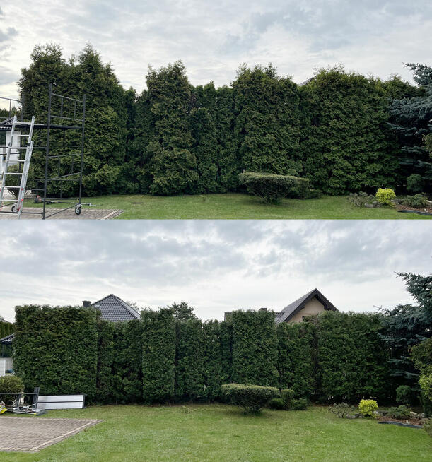 Przycinanie tuji i żywopłotów, pielęgnacja ogrodów