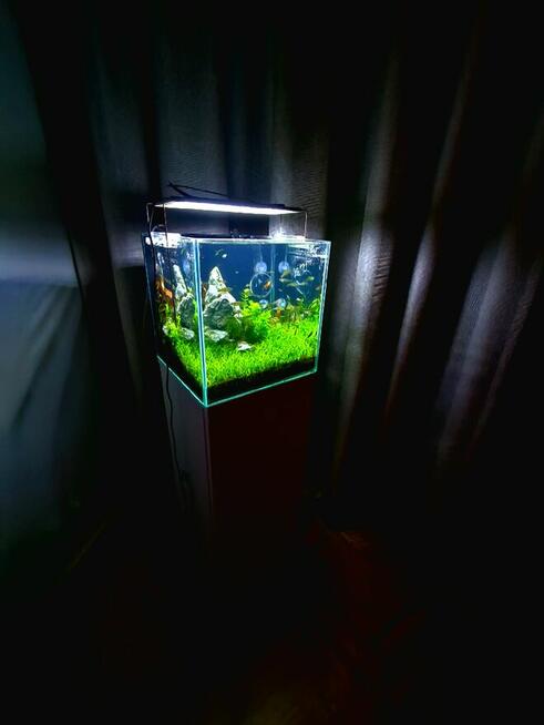 Akwarium serwis -projekt -wykonanie