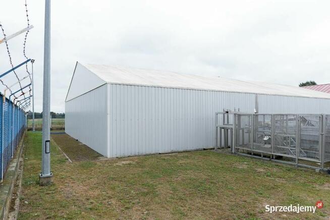 Hale Produkcyjne / Przemysłowe / Rolnicze - Produkcja