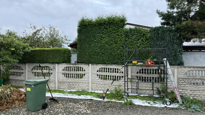 Przycinanie tuji i żywopłotów, pielęgnacja ogrodów