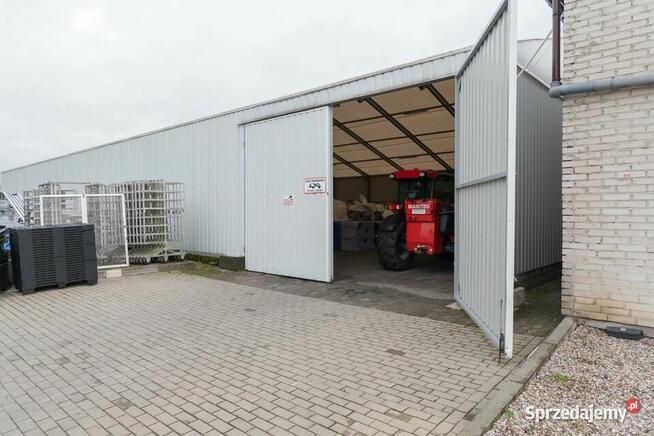 Hale Produkcyjne / Przemysłowe / Rolnicze - Produkcja