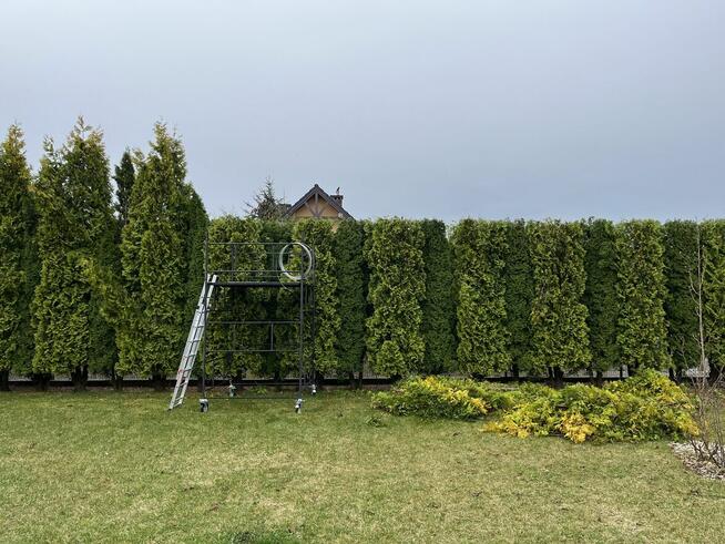 Przycinanie tuji i żywopłotów, pielęgnacja ogrodów