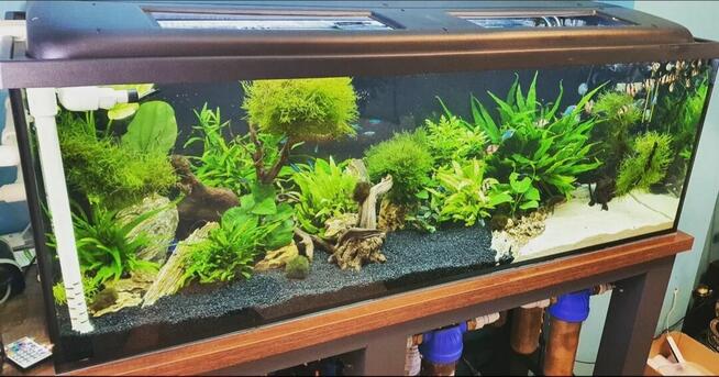 Akwarium serwis -projekt -wykonanie