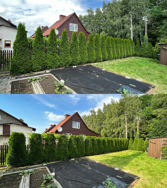 Przycinanie tuji i żywopłotów, pielęgnacja ogrodów