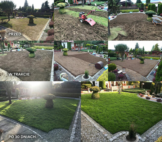 Zakładanie trawnika, koszenie, wertykulacja