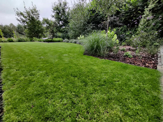 Projektowanie i zakładanie ogrodów - Kompleksowa realizacja