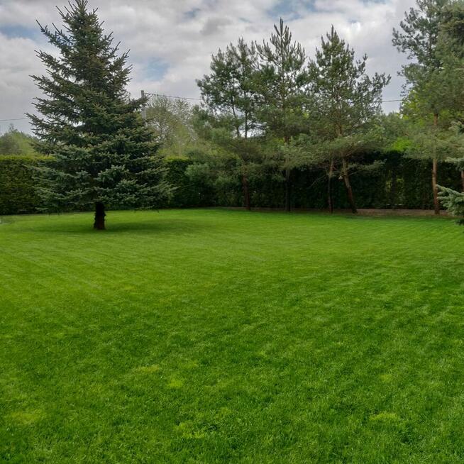 Systemy nawadniające/ Trawniki - z rolki i siewu