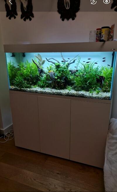 Akwarium serwis -projekt -wykonanie