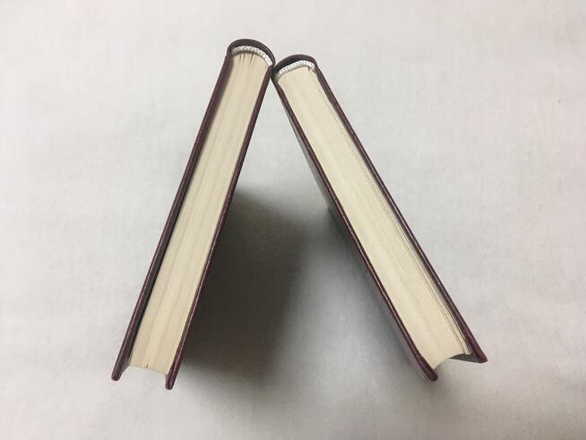 Pamiętniki Jakóba Gieysztora PRL KAW 1985 nr 373