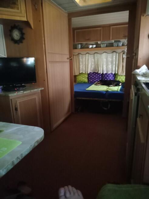 Domek ogrodowy ,altana