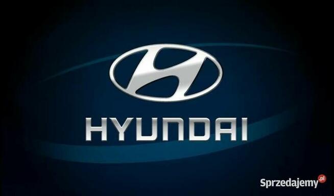 MAPA HYUNDAI GEN1 2024 EUROPA IX35 IX20 I30 I40 SantaFE