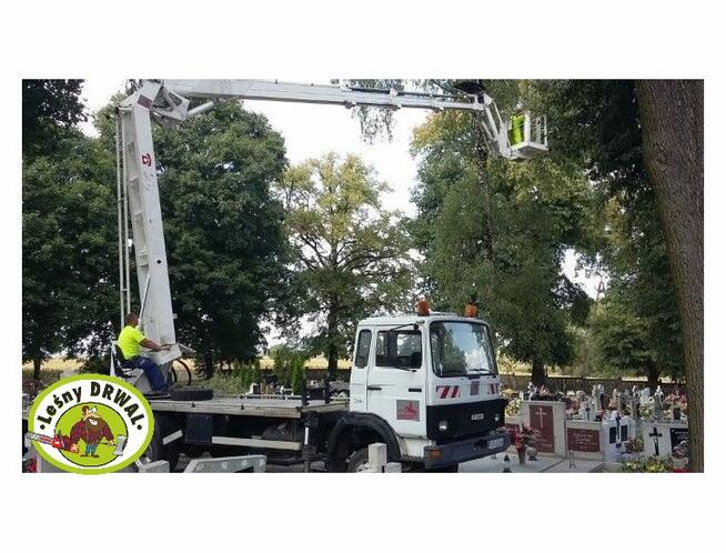 Wycinka Drzew, utylizacja zielonej masy, podnośnik koszowy