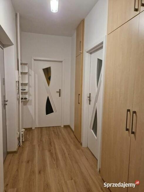 Wynajmę mieszkanie w cichej, dobrej lokalizacji