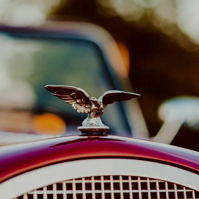 Zabytkowy samochód, auto retro do ślubu - NESTOR BARON