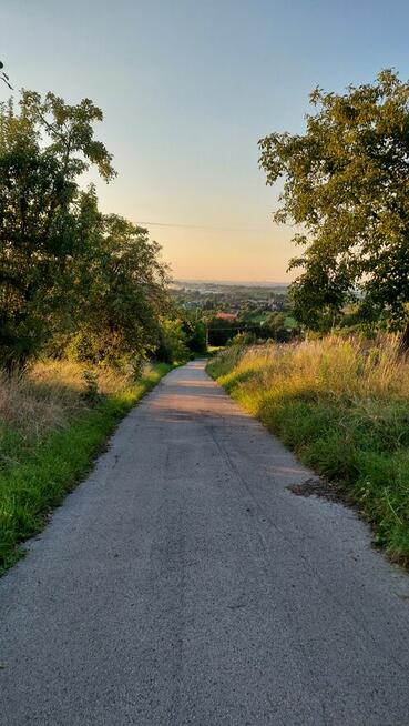 Sprzedam działkę w ŁAZANACH
