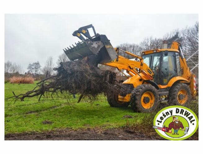 Wycinka Drzew, utylizacja zielonej masy, podnośnik koszowy