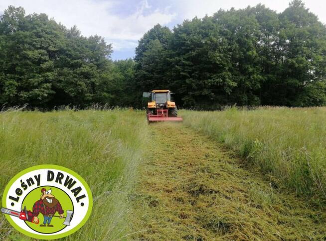 Wycinka Drzew, utylizacja zielonej masy, podnośnik koszowy