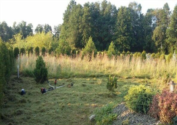 Wycinka Drzew, utylizacja zielonej masy, podnośnik koszowy